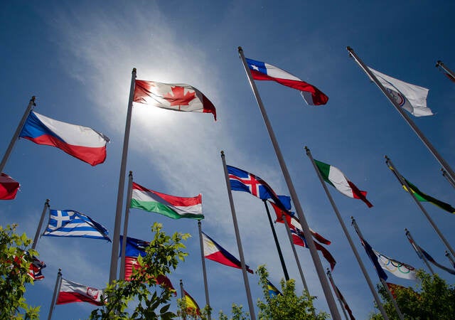 Photo of flags from around the world flying in the wind