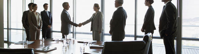 Group of business professionals meeting in a conference room