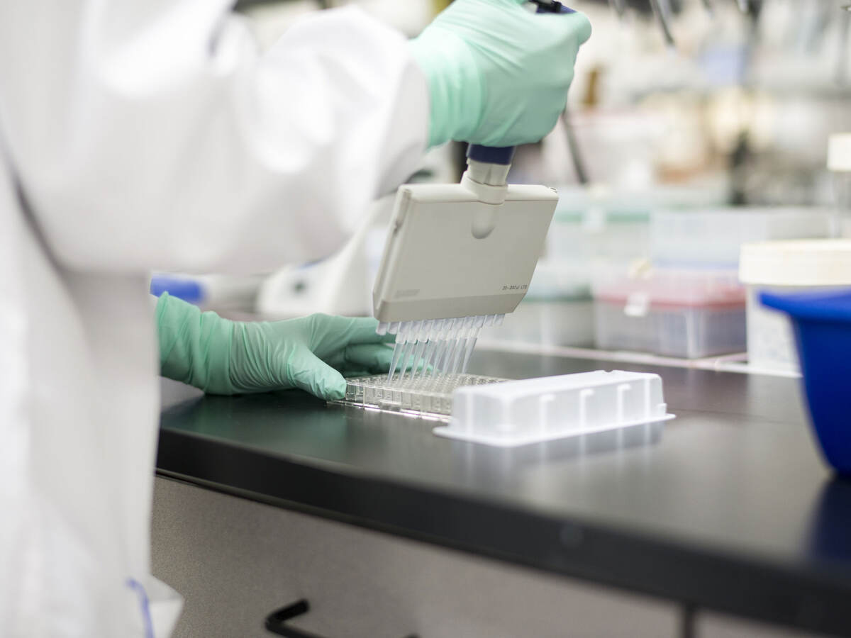 Lab tech using a multichannel pipette